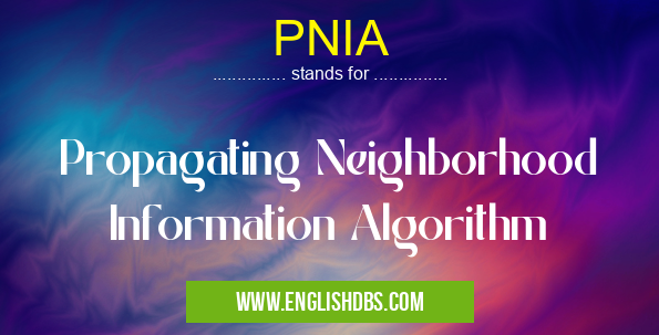 PNIA means Propagating Neighborhood Information Algorithm PNIA