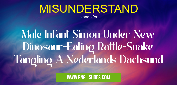 MISUNDERSTAND means Male Infant Simon Under New Dinosaur-Eating Rattle-Snake Tangling A Nederlands Dachsund MISUNDERSTAND