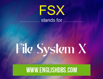FSX means File System X FSX