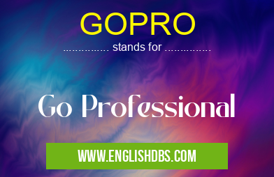 GOPRO means Go Professional GOPRO