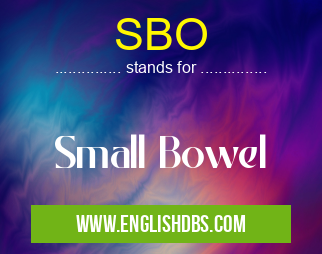 SBO means Small Bowel SBO