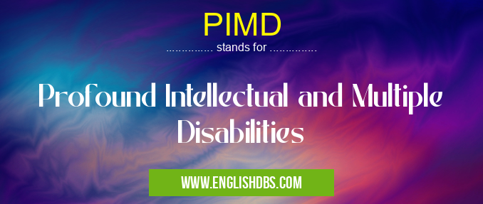 PIMD means Profound Intellectual and Multiple Disabilities PIMD