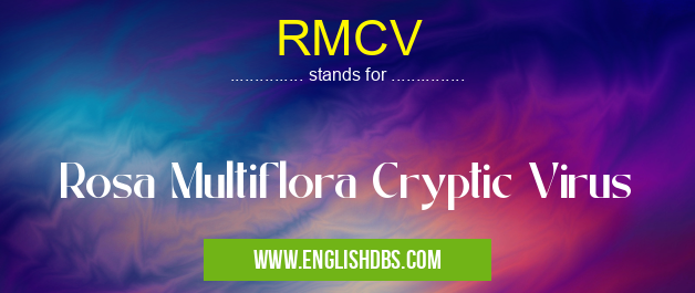 RMCV means Rosa Multiflora Cryptic Virus RMCV