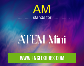AM means ATEM Mini AM