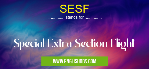 SESF means Special Extra Section Flight SESF