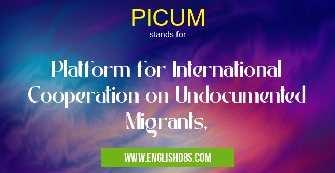 PICUM means Platform for International Cooperation on Undocumented Migrants, PICUM