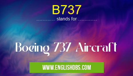 B737