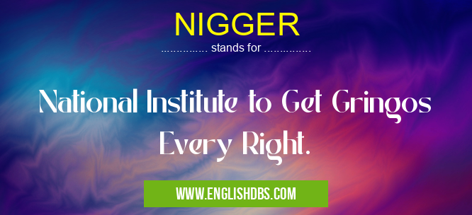 NIGGER means National Institute to Get Gringos Every Right. NIGGER