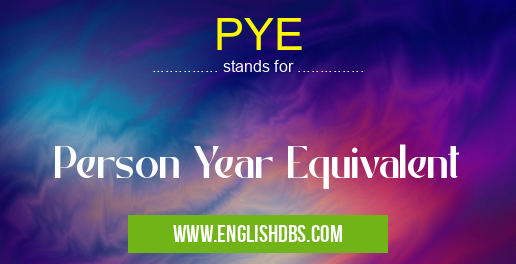 PYE means Person Year Equivalent PYE