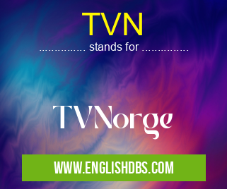 TVN means TVNorge TVN