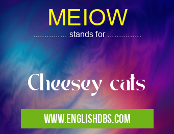 MEIOW means Cheesey cats MEIOW