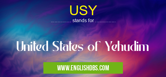 USY means United States of Yehudim USY