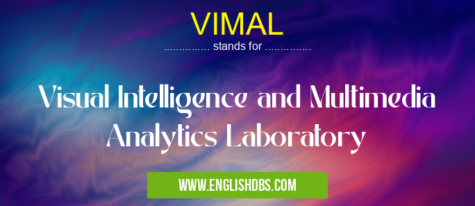 VIMAL means Visual Intelligence and Multimedia Analytics Laboratory VIMAL