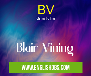 BV means Blair Vining BV