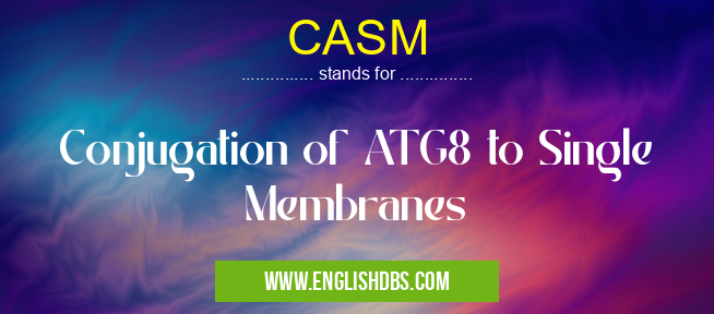 CASM means Conjugation of ATG8 to Single Membranes CASM