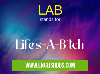 LAB means Life's-A-B*tch LAB