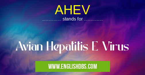 AHEV means Avian Hepatitis E Virus AHEV