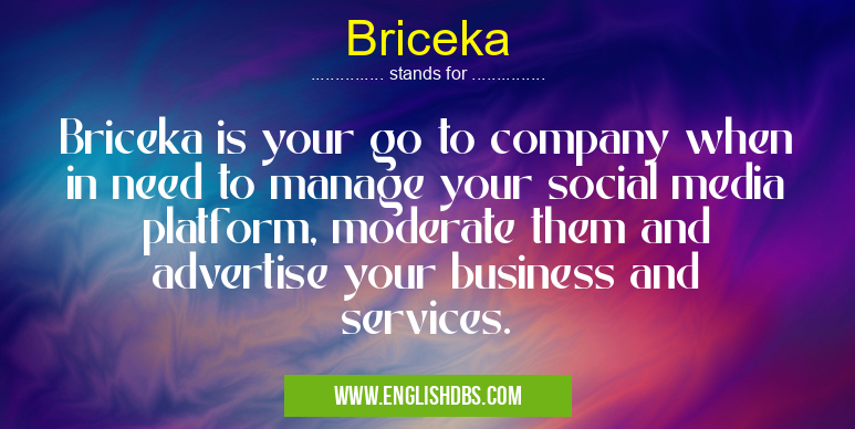 Briceka means Briceka is your go to company when in need to manage your social media platform, moderate them and advertise your business and services. Briceka
