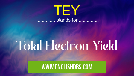 TEY means Total Electron Yield TEY