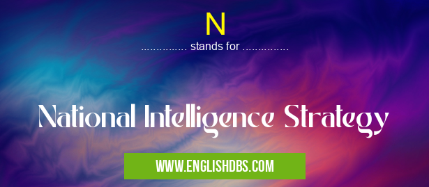 N means National Intelligence Strategy N
