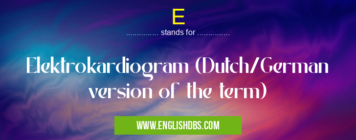 E means Elektrokardiogram (Dutch/German version of the term) E