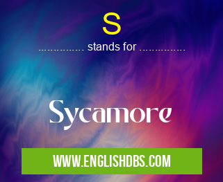 S