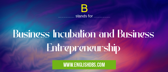 B means Business Incubation and Business Entrepreneurship B
