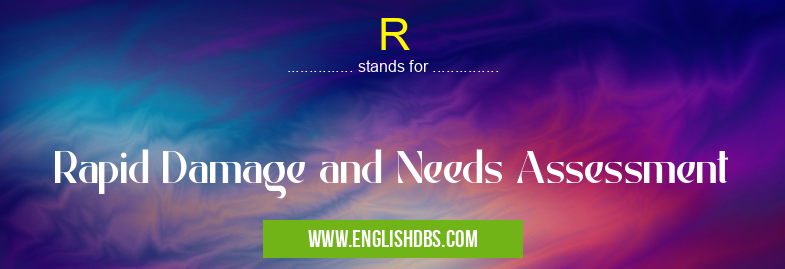 R means Rapid Damage and Needs Assessment R