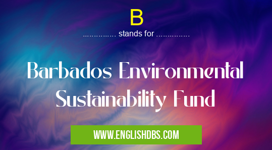 B means Barbados Environmental Sustainability Fund B
