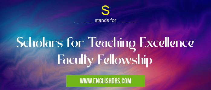 S means Scholars for Teaching Excellence Faculty Fellowship S