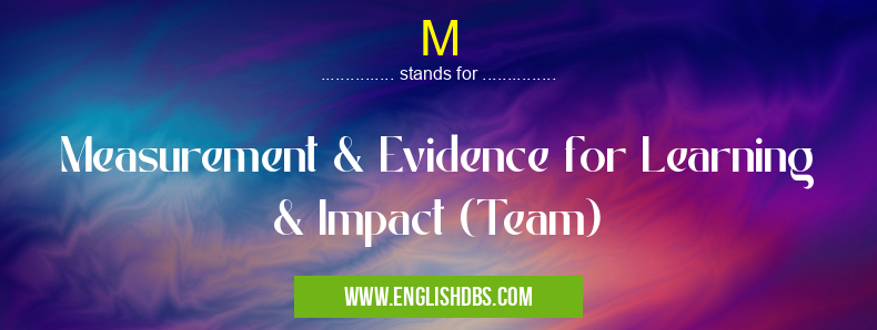 M means Measurement & Evidence for Learning & Impact (Team) M