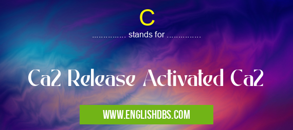 C means Ca2 Release Activated Ca2 C