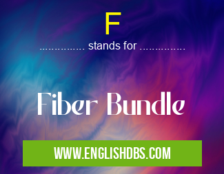 F means Fiber Bundle F