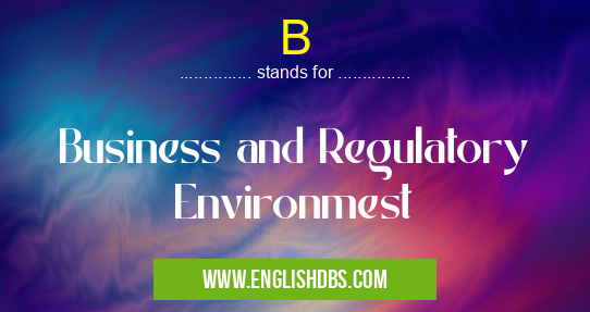 B means Business and Regulatory Environmest B