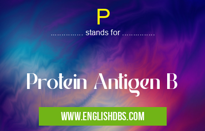 P means Protein Antigen B P