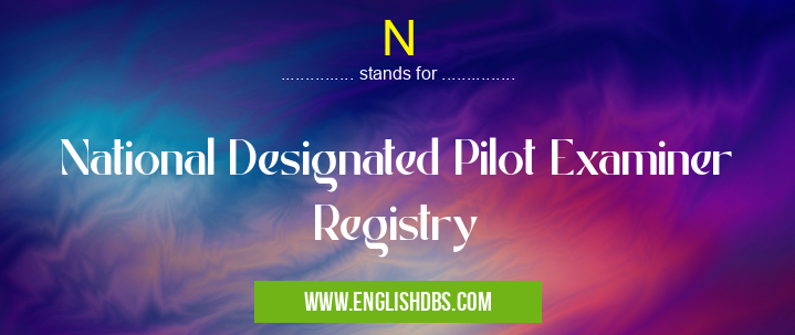 N means National Designated Pilot Examiner Registry N