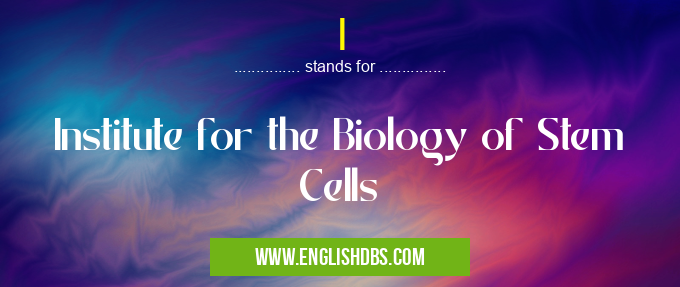 I means Institute for the Biology of Stem Cells I
