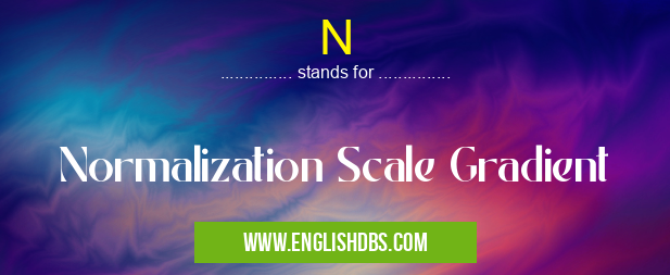 N means Normalization Scale Gradient N