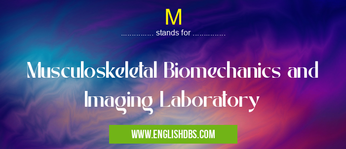 M means Musculoskeletal Biomechanics and Imaging Laboratory M