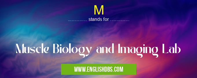 M means Muscle Biology and Imaging Lab M