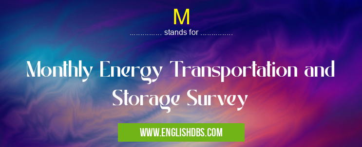 M means Monthly Energy Transportation and Storage Survey M