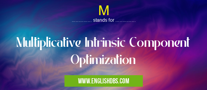 M means Multiplicative Intrinsic Component Optimization M