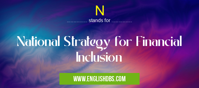N means National Strategy for Financial Inclusion N