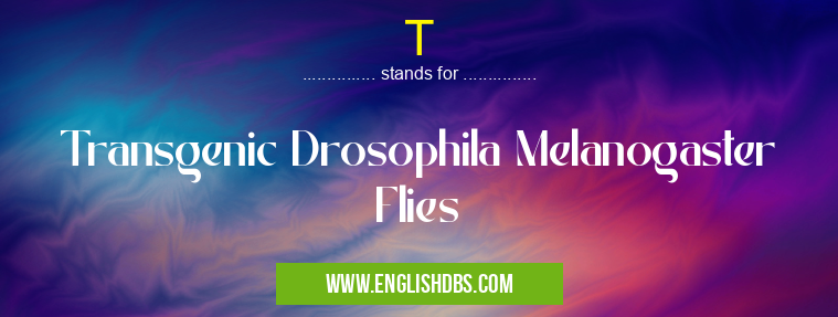 T means Transgenic Drosophila Melanogaster Flies T