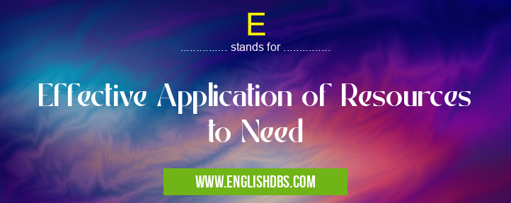 E means Effective Application of Resources to Need E