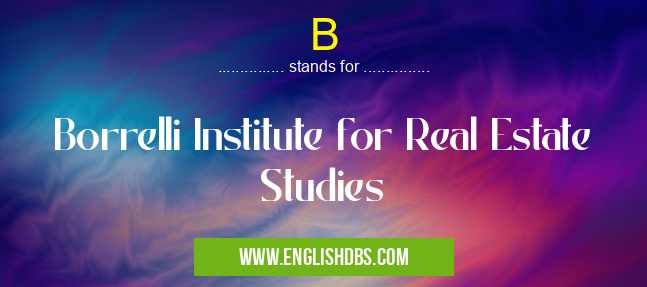 B means Borrelli Institute for Real Estate Studies B