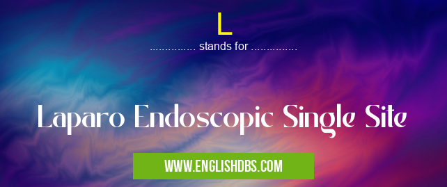 L means Laparo Endoscopic Single Site L