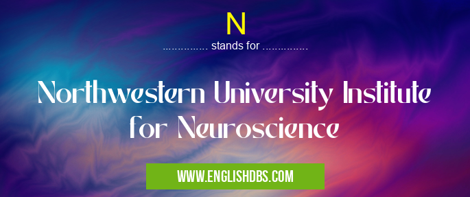 N means Northwestern University Institute for Neuroscience N