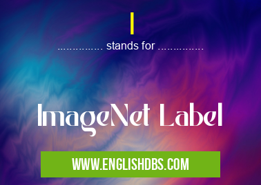 I means ImageNet Label I