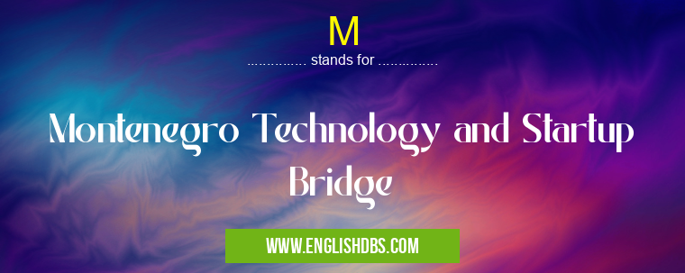 M means Montenegro Technology and Startup Bridge M